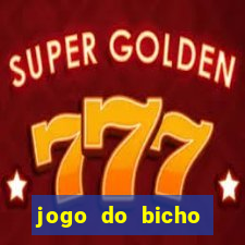 jogo do bicho crash bingo